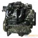 FOCUS 2 SANDIK MOTOR